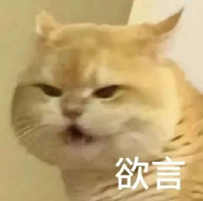 这是一张文字加注类的静态表情包，主体是一只橘色猫咪，猫咪半眯着眼睛，嘴巴微张，面部肌肉紧绷，神态呈现出一种话到嘴边、欲说还休的纠结状态，图片右下角配有醒目的白色“欲言”二字，精准呼应了猫咪的神态，能够生动传递出内心有话想说却又犹豫、难以开口的情绪，常被用于社交聊天场景中，表达纠结、欲语还休的心情。