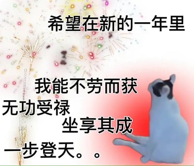图片以烟花为背景，前景是一只懒散坐着、表情佛系的猫咪，加上极具代表性的搞笑新年许愿文案：希望在新的一年里不劳而获、无功受禄、坐享其成、一步登天。整体气氛轻松自嘲，猫猫的躺平状态和梦想一夜暴富形成反差萌，是网络常见的新年愿望型梗图乃至佛系青年咸鱼精神的集中体现。

没有明显谐音梗，有较为典型的“咸鱼”文化和自嘲意味。适合新年互祝或自嘲用。