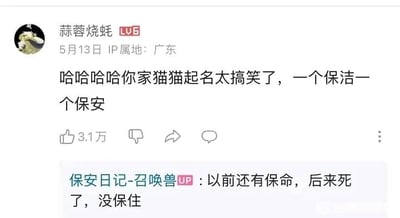 这是一张哔哩哔哩（B站）的评论区截图，用户“蒜蓉烧蚝”（LV6等级，IP属地为广东，发布于5月13日）在UP主“保安日记-召唤兽”的相关视频下发表评论，调侃UP主给家中猫咪起的“保洁”“保安”两个名字十分滑稽有趣，该评论收获了3.1万的点赞。UP主看到评论后回复称，之前还养过一只叫“保命”的猫咪，后来这只猫咪不幸去世，没能“保住性命”，回复巧妙利用“保命”这个名字的字面意思和猫咪的结局制造出反差感，形成了黑色幽默的效果，让互动内容更具趣味性。
