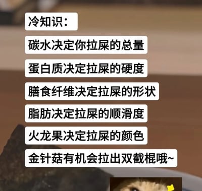 这是一张图文混排的搞笑趣味梗图，背景为模糊的室内桌面场景，右下角露出一小部分带着黄色星星装饰的猫咪脸部，上方排列多个白色圆角文本框，依次列举了几条和排便相关的趣味冷知识，分别说明碳水、蛋白质、膳食纤维、脂肪、火龙果分别影响排便的总量、硬度、形状、顺滑度、颜色，最后玩梗调侃食用金针菇后有概率整根排出形似双截棍，整体内容风格诙谐接地气，将生活常识以玩梗的形式呈现。