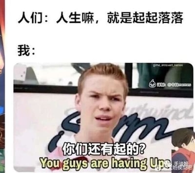 这是一张图文混排的自嘲梗图，上方文字呈现大众对人生的普遍认知——“人生嘛，就是起起落落”，认为人生有高峰也有低谷；下方搭配演员威尔·保尔特的影视截图，图中人物眉头紧皱、嘴巴微张，露出惊讶又不敢置信的夸张表情，配文“我：你们还有起的？”，英文对应“You guys are having Up”，通过强烈的反差感，自嘲自己的人生只有低谷阶段，从未经历过“起”的时刻，用幽默的方式吐槽自己的人生境遇不顺，引发同样处于人生低谷的人的共鸣。