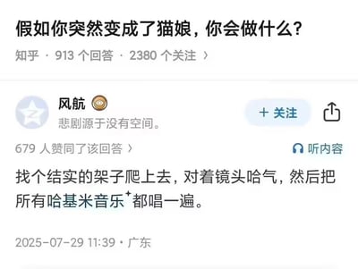 该图片为知乎平台的问答截图，问题为“假如你突然变成了猫娘，你会做什么？”，显示有913个回答和2380个关注。截图中展示了用户“风航”的回答，其个人简介为“悲剧源于没有空间。”，该回答获得679人赞同，发布于2025年7月29日11:39，地点为广东。回答内容为“找个结实的架子爬上去，对着镜头哈气，然后把所有哈基米音乐都唱一遍。”，其中“哈基米”是网络热词，源自日语“hachimitsu”（蜂蜜）的空耳，因猫视频中常出现而被用来代指猫咪及相关内容。