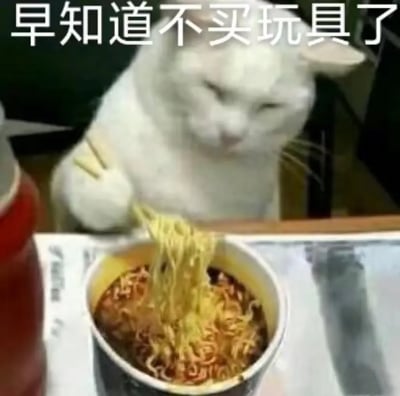 这张表情包中，一只表情无奈的白猫用筷子夹着泡面，神情颇为懊悔，配有大号文字“早知道不买玩具了”。这种强烈反差萌形成了幽默氛围，经常用于调侃冲动消费、后悔心理，是网络常见的消费类后悔表情包。猫咪用筷子的形象强化了荒诞与搞笑，并能引起许多网友共鸣。图中没有明显双关或谐音梗，主要靠画面和文字反差带来笑点。