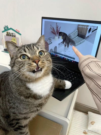 画面中一只带有白色围脖和白手套爪子的狸花猫，前爪搭在笔记本电脑上，当看到屏幕里监控拍摄的自己，同时被人的手指着屏幕中的画面时，猫咪瞪大了圆溜溜的眼睛，嘴巴张开露出牙齿，露出震惊又略带懵圈的表情，仿佛不敢相信屏幕里的是自己，整个场景充满了趣味和搞笑感，完美捕捉到宠物的可爱瞬间。