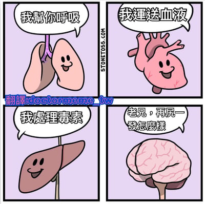 四格连环漫画，以拟人化的人体器官为主角，背景为淡紫色。左上格是微笑的肺，说“我幫你呼吸”；右上格是微笑的心脏，说“我運送血液”；左下格是微笑的肝脏，说“我處理毒素”；右下格是咧嘴笑的大脑，说“老兄，再屍一發怎麼樣”。通过器官们陈述自身重要功能与大脑最后一句轻松调侃的反差制造幽默效果。