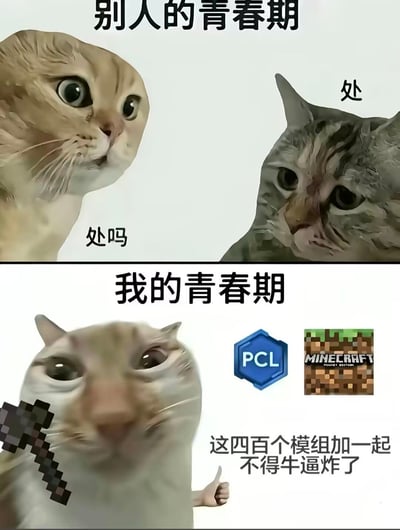 这是一张上下对比式梗图，通过AI生成的拟人化猫脸形象，幽默对比了两种不同的青春期体验。上图标题为'别人的青春期'，展示两只猫似乎在进行约会邀请的对话；下图标题为'我的青春期'，则展示一只猫痴迷于Minecraft游戏模组，配文'这四百个模组加一起不得牛逼炸了'。图片通过夸张的对比，自嘲式地展现了沉迷游戏的青春期与社交型青春期的差异。
