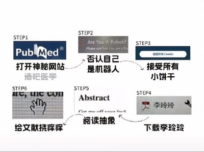 这是一张幽默调侃学术文献检索过程的六步连环图。Step1展示PubMed网站截图，配文“打开神秘网站 酒吧医学”；Step2是验证码界面“Are You A Robot?”，对应“否认自己是机器人”；Step3为Cookie同意框，写着“接受所有小饼干”；Step4显示“下载李玲玲”（疑似谐音或调侃）；Step5是“Abstract”文档，配文“阅读抽象”；Step6为像素风格的手，标注“给文献挠痒痒”。整体用网络流行语和夸张比喻，吐槽学术检索中的常见流程。