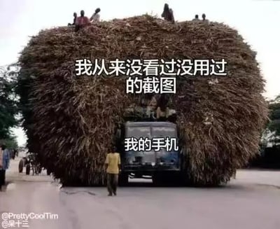 这是一张文字加注的搞笑图片，画面主体是一辆被体量巨大的草料堆完全覆盖的卡车，仅露出车头部分，草料堆顶部还坐着几个人，车前有一个行人。图中配有两行文字，上方文字“我从来没看过没用过的截图”，下方文字“我的手机”，用卡车严重超载、堆满无用草料的场景，幽默地调侃很多人手机里存了大量从来不会去看也不会使用的截图，把无用截图比作多余的草料，生动形象地表现出手机截图过多、冗余的状态，引发人们对自身手机使用习惯的共鸣。