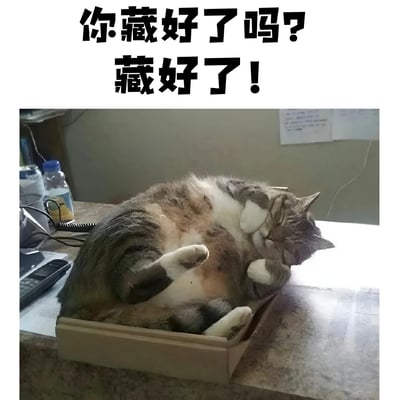 图片上方有两行黑色大字："你藏好了吗?"和"藏好了!"。下方是一只体型较大的灰白相间的猫，正蜷缩在一个明显太小的浅色盒子里，四脚朝天，眼睛紧闭，似乎在惬意地睡觉。猫的身体大部分都露在盒子外面，形成了有趣的反差萌效果。背景中可以看到办公桌的一角，上面有水瓶、计算器和一些电线。这张图通过文字和画面的幽默对比，展现了猫咪不管盒子大小都要钻进去的可爱习性。