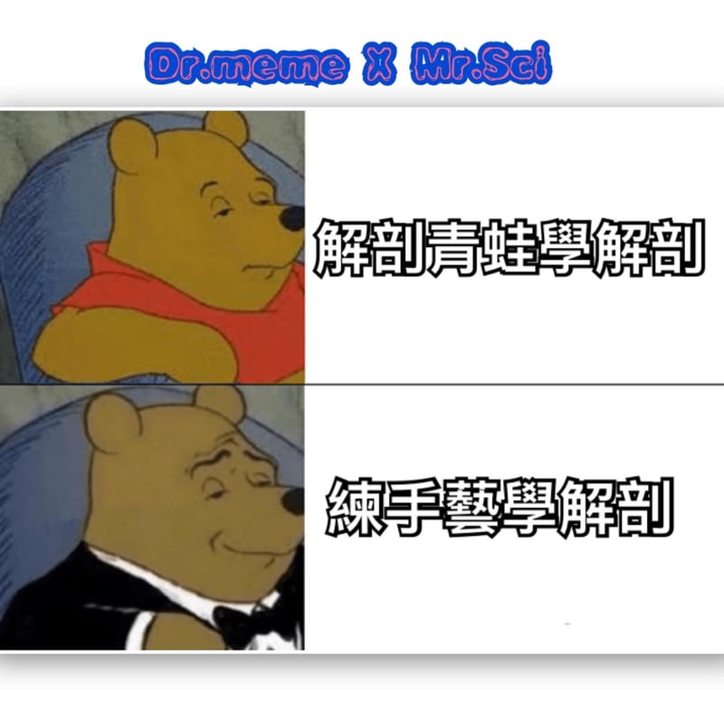 小熊维尼