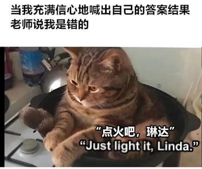 图片上方文字描述了“当我充满信心地喊出自己的答案结果老师说我是错的”的场景，下方是一只橘猫坐在灶台的锅中，眼神冷漠，配文“点火吧，琳达”及英文翻译“Just light it, Linda.”。通过将学生答题错误后的沮丧情绪与猫坐在锅中“自暴自弃”的幽默场景结合，形成一种自嘲式的搞笑效果，用夸张的方式表达了信心受挫后的无奈感受。
