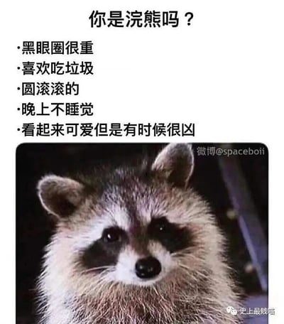 暂无描述