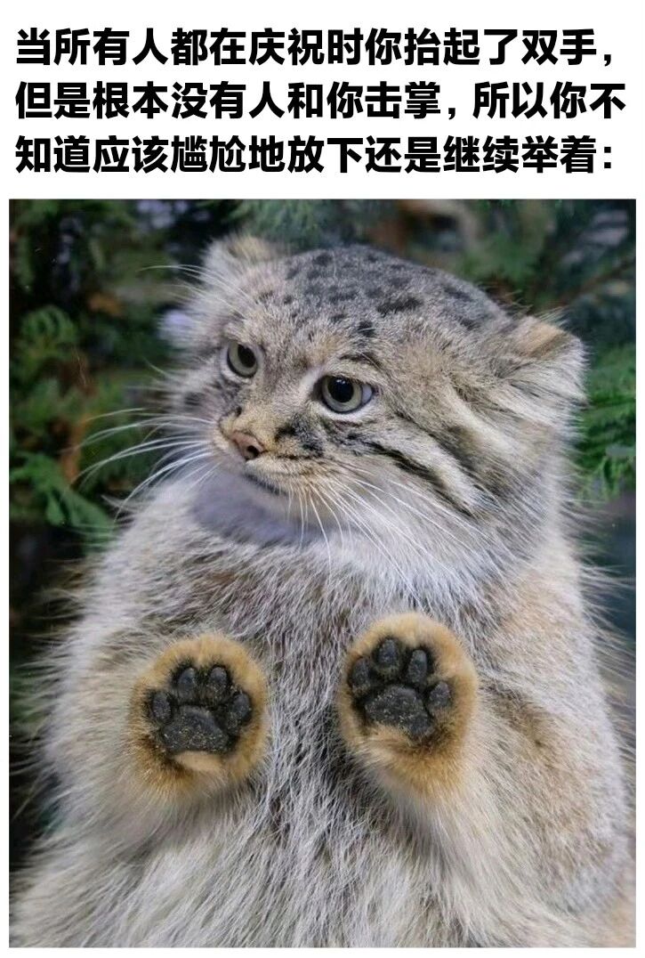兔狲