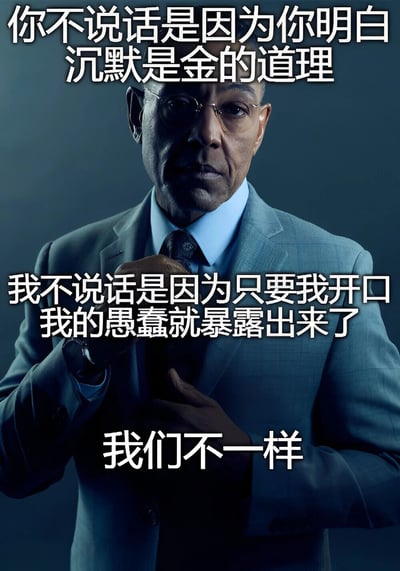 图片中是一位身着灰色西装、蓝色衬衫并佩戴领带的中年男性，他正用手调整领带，表情严肃。图片上方文字为“你不说话是因为你明白沉默是金的道理”，中间文字为“我不说话是因为只要我开口我的愚蠢就暴露出来了”，底部文字为“我们不一样”。整体通过对比两种不同的沉默原因，以幽默自嘲的方式表达人与人之间的差异。