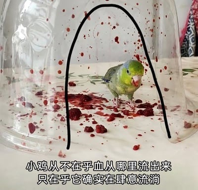 暂无描述