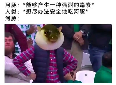 图片上方配有三段文字，模拟河豚与人类的对话：河豚称自己能产生强烈毒素，人类则表示会想尽办法安全食用河豚，最后以“河豚：”引出下方图像。图像主体是一个站在人群中的人，其头部被替换成鼓起来的河豚脸，表情看起来无奈又困惑，双手叉腰的姿势更凸显出这种情绪，背景中可以看到模糊的观众，可能是在某种公共场合。整体通过拟人化的河豚形象和幽默的文字对比，调侃了人类面对危险食物时的执着态度。