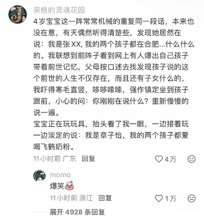 社交媒体截图中，用户“荣格的灵魂花园”分享育儿经历：4岁宝宝近期常机械重复同一段话，父母因联想到“孩子带前世记忆”的网络传言而心生恐惧，仔细倾听后发现孩子说的是“我是章子怡，我的两个孩子都爱喝飞鹤奶粉”，原是模仿奶粉广告。截图下方有用户“momo”回复“爆笑😂”，点赞量达4万，内容通过“恐怖预期-搞笑反转”制造幽默效果，展现幼儿模仿广告的可爱场景。