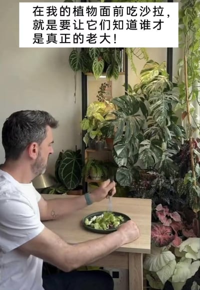 一位中年男性坐在摆满绿植的房间里，正用叉子吃着一盘沙拉。图片上方配有文字：'在我的植物面前吃沙拉，就是要让它们知道谁才是真正的老大！'，以幽默的方式表达了人类作为植物'统治者'的调侃。房间内植物种类丰富，有绿萝、龟背竹等多种观叶植物，营造出绿意盎然的环境。