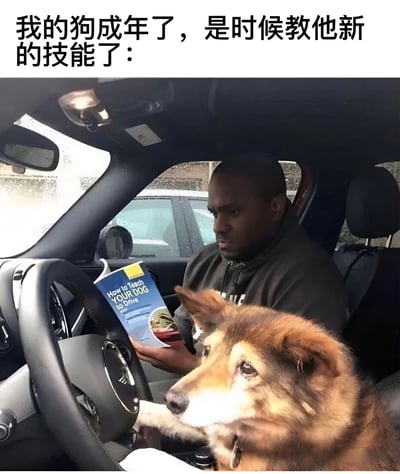 图片上方有文字'我的狗成年了，是时候教他新的技能了：'，下方是一张照片，显示一只棕黄色的狗坐在汽车驾驶座上，右前爪搭在方向盘上，眼神专注地看着前方；旁边乘客座位上坐着一位黑人男性，手持一本封面写有'How to Teach Your Dog to Drive'的蓝色书籍，表情认真。整体通过夸张的场景设置，营造出幽默搞笑的氛围，调侃给成年宠物教授不切实际技能的趣味想法。