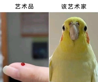这是一张左右分栏的对比式网络梗图，左侧画面展示了一根人类指尖，指尖上有一滴红色的血滴，画面上方配有文字标注“艺术品”；右侧画面是一只黄色的玄凤鹦鹉，它正呆愣地直视镜头，额头处的特殊凸起结构让它看起来神态滑稽迷惑，画面上方配有文字标注“该艺术家”。整张图通过将无厘头的“艺术品”和外形神态都显得有些“离谱”的鹦鹉进行绑定，用强烈的反差感调侃那些难以被大众理解、风格过于抽象的当代艺术作品，暗示这类作品如同普通血滴一样毫无艺术价值，而创作者也如同这只迷惑的鹦鹉一样让人摸不着头脑，充满了网络趣味吐槽的风格。