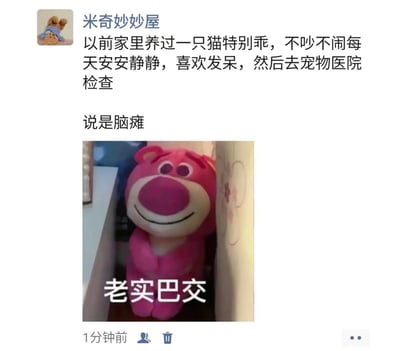 这是一张微信朋友圈截图类梗图，发布者「米奇妙妙屋」分享了一段哭笑不得的养宠经历：曾经养了一只特别安静、爱发呆的猫，一直以为猫咪是性格乖巧，带去宠物医院检查后，才得知猫咪是脑瘫。下方搭配了一张迪士尼草莓熊缩在角落、配文「老实巴交」的表情包，用「乖巧」和「脑瘫」的强烈反差制造搞笑效果，让原本的无奈经历变得滑稽好笑。