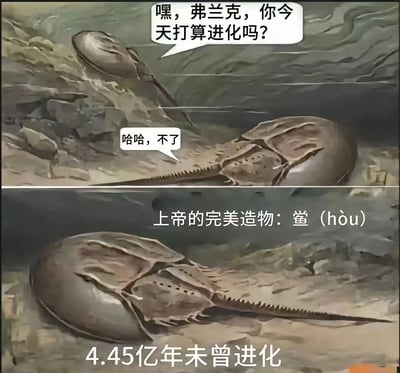 这是一张以漫画化拟人风格展现的鲎（马蹄蟹）冷知识科普梗图。画面分为两格，两只鲎在“对话”，一只问另一只今天要不要进化，对方佛系回复“不了”，底部则强调“上帝的完美造物：鲎（hòu）——4.45亿年未曾进化”。整体用拟人化和幽默方式，表达鲎几亿年不变更的奇特现象，并暗含“摆烂/佛系”生活态度的调侃。

双关与暗示：将生物进化落差和网络流行的“摆烂、佛系”态度结合，既科普又自嘲。