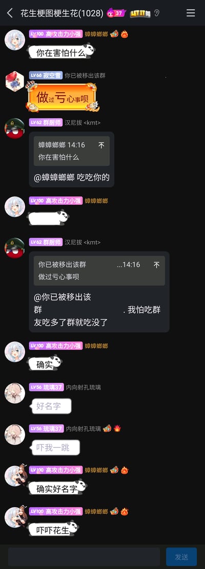 这是一张竖屏格式的即时通讯软件群聊截图，群名为“花生梗图梗生花(1028)”，群内成员以特殊昵称展开趣味玩梗互动：成员“寂空雪”使用“你已被移出该群”作为群昵称，制造出“被移出群”的错觉笑点。群内对话围绕这个昵称展开，“高攻击力小强”先发问“你在害怕什么”，“寂空雪”发送消息同时附带装饰框文字“做过亏心事呗”；“群厨师”引用消息玩梗，调侃要“吃吃”对方，还幽默表示“怕吃群友吃多了群就吃没了”；后续成员“琉璃37”评价该昵称“好名字”，还发出“吓我一跳”的感慨，“高攻击力小强”也附和“确实好名字”并说“吓吓花生”，整体氛围轻松搞笑，是典型的网络社群整活玩梗场景。