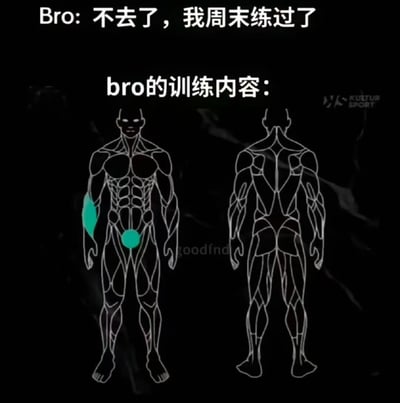 这张梗图通过幽默方式调侃了健身中的"划水"现象。上方文字显示"Bro: 不去了，我周末练过了"，下方标题"bro的训练内容:"搭配两张肌肉解剖图——正面图仅在右上臂和盆骨处有绿色高亮，暗示所谓的"训练"可能只是敷衍地练了两个部位。