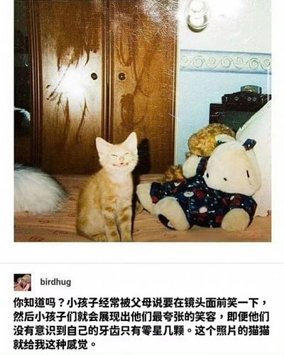 图片中是一只橘色猫咪，它双眼紧闭，嘴巴大张，露出夸张的笑容，坐在铺有花纹床单的床上。猫咪旁边是一个穿着蓝底碎花衣服的毛绒玩具。背景可见一个带有污渍的木质衣柜，柜门上有两个圆形把手，右侧还有一个老式收音机和部分白色墙壁。图片下方配有文字评论，将猫咪的笑容类比为被父母要求在镜头前微笑的小孩，展现出既可爱又搞笑的氛围。