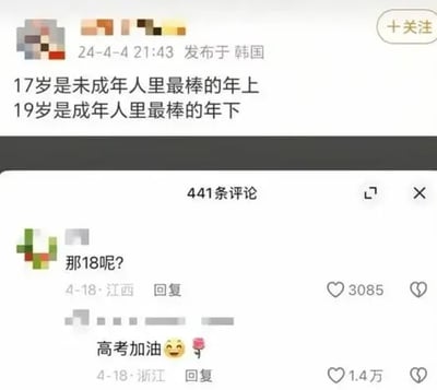 这是一张社交媒体截图，显示了一条发布于韩国的帖子，内容为“17岁是未成年人里最棒的年上，19岁是成年人里最棒的年下”。帖子下方有441条评论，其中高赞评论“那18呢？”引发共鸣，另有评论“高考加油”获得1.4万点赞。整体内容围绕年龄话题展开，通过对比17岁和19岁的“特殊地位”，以幽默的方式制造了18岁被“忽略”的笑点，语言风格轻松诙谐，充满网络讨论氛围。