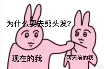 这是一张左右对比的静态卡通图文混排梗图，画面主体是两只粉色卡通兔子：左侧标注为“现在的我”的兔子，面露懊恼质问的神情，伸手揪住右侧标注为“两天前的我”的兔子的衣领；右侧兔子神情无辜茫然，身体微微后倾。画面上方配有文字“为什么要去剪头发？”，通过拟人化的自我对话形式，生动表现了很多人在剪完头发后，因对发型不满意而产生后悔情绪，进而懊恼当初决定去剪头发的心情，精准戳中了大众理发后容易后悔的日常痛点，用搞笑的方式引发共鸣。
