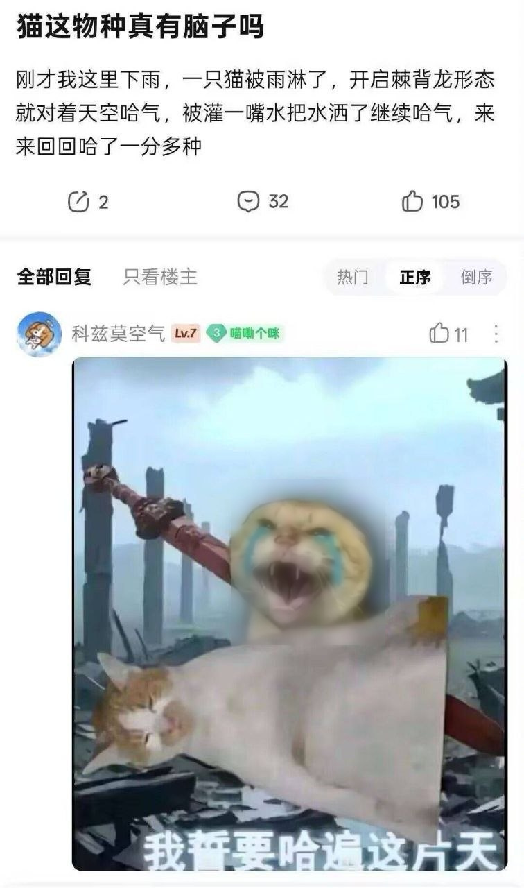 网络二创梗图封面