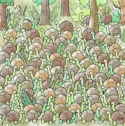 画面中是一片充满生机的森林，地面上和树木间挤满了大量背着棕褐色或浅棕色龟壳的小乌龟。它们有着绿色的细长脖子和圆滚滚的小脑袋，表情呆萌，整体呈现出一种密集又可爱的卡通风格。乌龟们或站或爬，遍布整个画面，背景有高大的树木和绿色的植物，营造出自然的森林氛围。没有双关、谐音梗或暗示内容，主要展现乌龟群体的视觉效果。