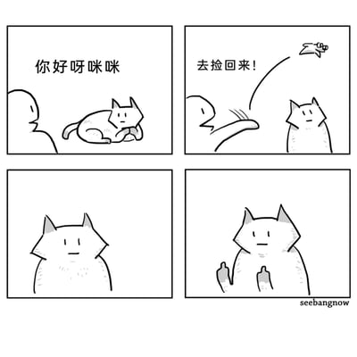 这是一幅四格黑白卡通漫画：第一格中，人类向趴着的猫咪打招呼说“你好呀咪咪”，猫咪抱着自己的爪子，表情平静；第二格，人类扔出飞盘，对猫咪下达指令“去捡回来！”，猫咪站在一旁，表情依旧毫无波澜；第三格，猫咪近距离看向人类，表情没有任何变化；第四格，猫咪举起了自己的两只爪子，原来它之前一直抱着的是自己的爪子，以此来表示自己没有爪子去捡飞盘，用这种无厘头又硬核的方式拒绝了人类的指令，通过反差感制造出搞笑的效果。