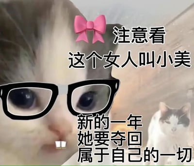 这是一张改编自网络流行语的猫咪梗图，画面包含一只带着粉色蝴蝶结和墨镜的猫，并配有大段中文搞笑励志式文字。文字用“女人”拟人称猫咪小美，结合“她要夺回属于自己的一切”的句式，产生出极具网感的幽默感。常作为朋友圈、社群调侃发图，表达逆袭、振作、重拾信心等情绪。双关妙点在于动物“猫”拟人化称为“女人”，营造出荒谬可爱的幽默感。