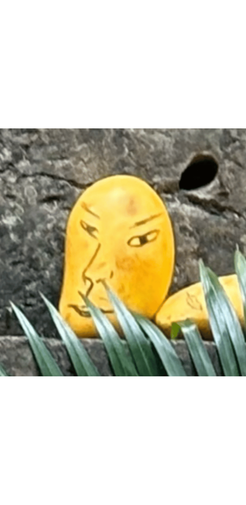 网友自制创意作品