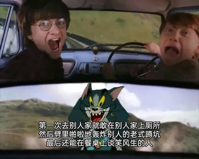 图片分为上下两部分。上半部分是《哈利·波特》电影中的场景，哈利·波特和罗恩·韦斯莱坐在汽车内，两人都张大嘴巴，露出震惊和惊恐的表情，背景是模糊的郊外景色。下半部分是《猫和老鼠》动画中的汤姆猫，它双眼圆睁，露出尖锐的牙齿，表情凶狠愤怒，背景是山脉和天空。图片下方配有文字：“第一次去别人家就敢在别人家上厕所然后劈里啪啦地轰炸别人的老式蹲坑最后还能在餐桌上谈笑风生的人”，通过夸张的对比和幽默的文字，调侃那些在别人家做客时行为大胆却能泰然自若的人。