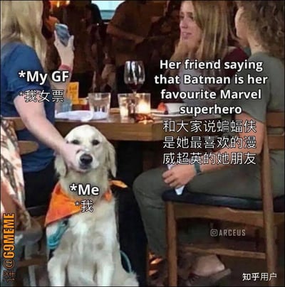 这张梗图描绘了一组人在餐厅的聚会时刻，面对女票的朋友说出“蝙蝠侠是她最喜欢的漫威超级英雄”时自己的真实尴尬表情。主人公以一只无语且无奈的狗狗形象自嘲，突出知识性错误带来的无奈和幽默。整个画面用轻松搞笑的方式演绎了社交场合下的无力反驳气氛。梗图中用狗代替主角本人，形成强烈反差和夸张的搞笑效果。

暗含梗点：蝙蝠侠与漫威/DC归属知识点，经常被混淆，是美剧、美漫圈常见吐槽。借用动物表情进行“自我吐槽”，进一步强化了无助和尴尬氛围。