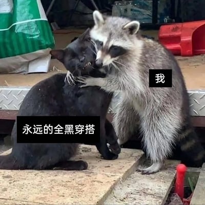这张梗图以真实的浣熊和黑猫互动的实拍照片为基础，通过添加文字标注，将浣熊定义为“我”，黑猫定义为“永远的全黑穿搭”。画面中浣熊亲昵地抱住黑猫，对应“我”对全黑穿搭的狂热喜爱，而黑猫露出抗拒、无奈的表情，仿佛是被过度喜爱的穿搭风格“纠缠”，用幽默的动物互动场景，生动地表达了部分人群对全黑穿搭的执念，搞笑又贴切，容易引发有相同穿搭喜好人群的共鸣。