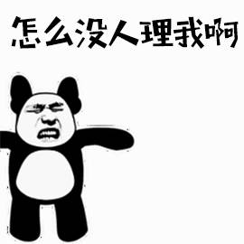 熊猫委屈：怎么没人理我啊