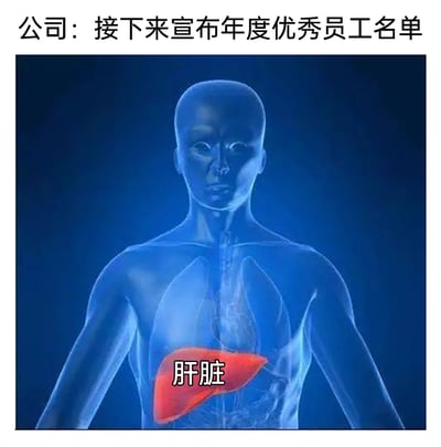 这是一张聚焦职场加班文化的搞笑梗图，上方文字显示公司即将宣布年度优秀员工名单，下方是一幅人体3D透视图，其中肝脏被红色突出显示并标注“肝脏”字样。图中运用“肝”与“干（活）”的谐音梗，调侃企业的年度优秀员工往往是那些长期拼命加班、“肝”工作，甚至身体器官都被过度消耗的打工人，以夸张幽默的方式讽刺职场内卷、过度加班的不合理现状，精准戳中打工人的痛点，引发群体共鸣。
