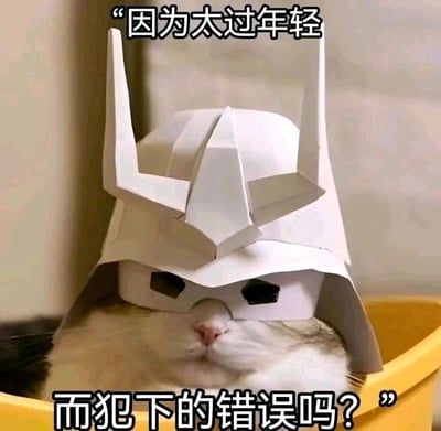 这是一张静态搞笑表情包，画面主体是一只待在黄色容器里的猫咪，它的头上戴着一顶手工制作的白色纸头盔，头盔造型模仿了《机动战士高达》里的机甲驾驶员头盔，将猫咪的头部部分遮挡，只露出鼻子和嘴巴，猫咪神态平静，略带委屈感。图片上下配有文字：“因为太过年轻而犯下的错误吗？”，这句台词出自经典动漫《机动战士高达》，结合猫咪的可爱神态与严肃的台词，形成强烈的反差萌，营造出一种自嘲、反思年轻时期所犯错误的幽默氛围，适合在日常聊天中用来调侃自己的过往失误，或是对他人类似经历表达共情。
