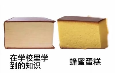 图片为左右对比结构，左侧是一本棕色封面、内页泛黄的厚书，下方标注文字“在学校里学到的知识”；右侧是一块外形与书本高度相似的蜂蜜蛋糕，顶部有棕色表皮，内部呈淡黄色海绵状，下方标注文字“蜂蜜蛋糕”。通过书本与蛋糕在形状、颜色上的视觉相似性制造幽默效果，调侃知识与美食的趣味性关联。