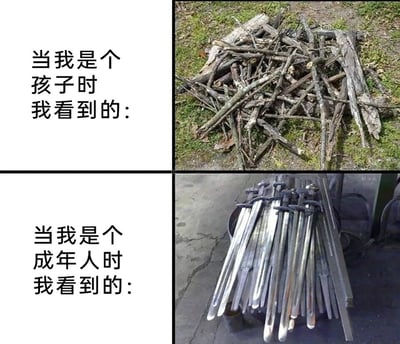 这是一张采用上下对比构图的图文梗图，整体分为两个板块。上半板块左侧配有文字“当我是个孩子时我看到的：”，右侧呈现的是一堆散落在草地与泥土地上的干枯树枝，代表孩童时期眼中普通的自然物件；下半板块左侧配有文字“当我是个成年人时我看到的：”，右侧则是一堆堆放在水泥地面上的金属长剑。该梗图通过这种视角反差，隐喻成长过程中人们的心态变化：孩童时期对世界充满幻想，但面对普通树枝时只将其视为自然物品；而成年后，曾经在幻想中无比酷炫的宝剑，在现实的打磨下，却被看成如同无用树枝一般的存在，调侃了成年人被生活消磨了热情与想象力，对事物的认知变得现实且麻木，引发大众对成长与生活压力的共鸣。
