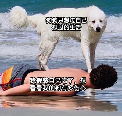 这是一张在海边沙滩拍摄的实拍图，图中一名男子趴在浅滩的沙滩上，假装自己“去世”，想要测试自己的狗狗会不会因此伤心，结果狗狗不仅没有表现出伤心的模样，反而淡定地站在主人的背上，配文分别呈现了主人的想法和狗狗的“内心OS”，通过主人的期待和狗狗的实际反应形成强烈反差，制造出搞笑的效果，生动展现了宠物“不走寻常路”的反应，属于热门的宠物搞笑类内容。