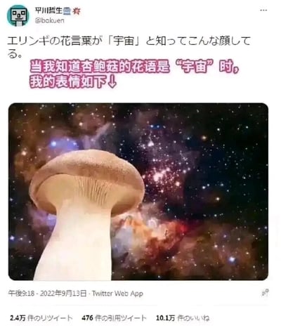 这是一张来自Twitter（现X平台）的推文截图，发布于2022年9月13日，作者是用户平川哲生（@bakuen）。推文上方同时使用日文和简体中文配文，中文内容为“当我知道杏鲍菇的花语是‘宇宙’时，我的表情如下↓”，下方搭配了一张创意合成图：将杏鲍菇的图像放置在绚烂的宇宙星空背景中，让杏鲍菇仿佛成为宇宙的一部分，用夸张且充满脑洞的视觉方式，来表达得知“杏鲍菇花语是宇宙”这个冷门知识后的惊奇感。该推文在平台上获得了2.4万次转发、476次引用转发以及10.1万次点赞，凭借有趣的冷知识和创意视觉呈现，在社交平台上引发了不少用户的互动。