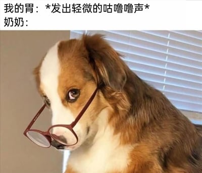 这是一张充满生活趣味的拟人化梗图，图中上方配有文字，分为两部分：第一部分标注“我的胃：*发出轻微的咕噜噜声*”，模拟肚子饥饿时发出的声响；第二部分标注“奶奶：”，引出下方的视觉内容。下方是一只棕白相间的宠物狗，它被P上了一副红框眼镜，眼神带着担忧与关切，侧头看向一旁，将现实生活中奶奶听到晚辈肚子发出咕噜声后，立刻紧张担心晚辈没吃饱、过度关切的状态，通过拟人化的狗狗形象生动呈现出来，精准还原了长辈关心晚辈饮食的温馨又搞笑的家庭日常场景，容易引发大众的共鸣。