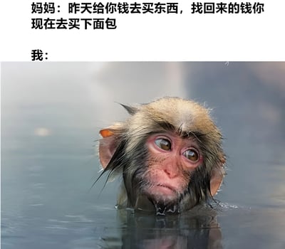 图片上半部分是妈妈的指令文字：“昨天给你钱去买东西，找回来的钱你现在去买下面包”，下方标注“我：”并配有一张猴子的照片。照片中猴子头部浸在水中，毛发湿漉漉地贴在脸上，眼睛睁大向上看，表情呈现出明显的困惑和茫然，仿佛在努力回忆找零的去向或对突然的任务感到不知所措。通过动物表情与人类生活场景的结合，幽默地展现了忘记存放零钱时的尴尬反应。