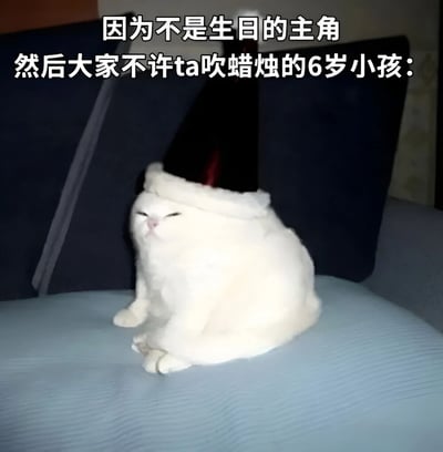 图片中是一只白色的猫，它戴着一顶黑色的生日帽，正坐在蓝色的表面上。猫咪双眼微闭，表情看起来有些委屈和不满，仿佛在闹别扭。图片上方配有文字：“因为不是生日的主角 然后大家不许ta吹蜡烛的6岁小孩：”，将猫咪的神态幽默地比作一个因不能吹蜡烛而感到失落的6岁孩子，通过萌宠的表情生动展现了孩童般的委屈情绪，充满搞笑和可爱的氛围。