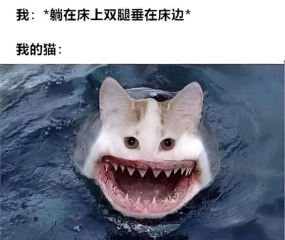 这张梗图通过幽默对比展示了宠物猫的夸张反应。上方文字描述主人姿势："我：*躺在床上双腿垂在床边*"，下方标注"我的猫："并配有一张合成图片——猫咪的脸被嫁接到鲨鱼头上，鲨鱼从水中跃起，嘴巴大张露出锋利牙齿，形成强烈的视觉反差。